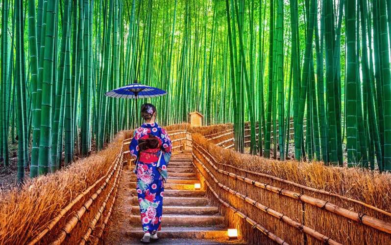 Kyoto Day Tour with Certified Tour Guide & Luxury vehicle - Kinkaku-ji offers Kyoto’s most recognizable view