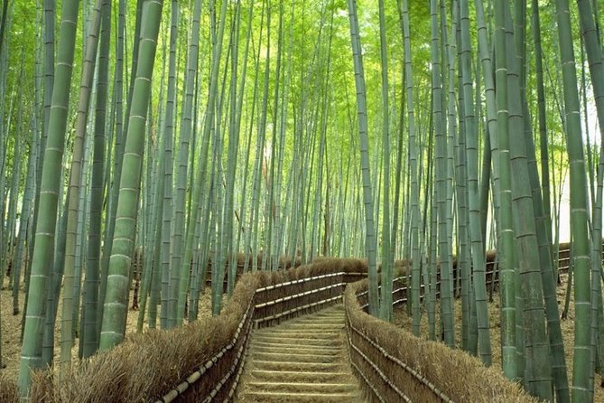 Kyoto Day Trip using Private Car with English Driver (up to 5) - Arashiyama bamboo forest, your western Kyoto start