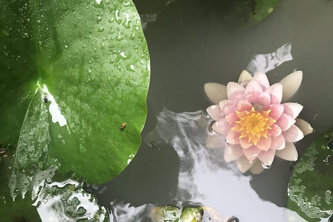 Kyoto: Descending Arashiyama (Private) - Okochi Sanso Garden and the best high views