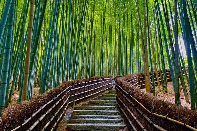 Kyoto Early Bird English Tour: Fushimi-Inari and Arashiyama - My verdict on the early Kyoto route