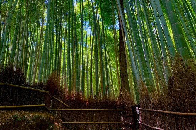 Kyoto Early Bird English Tour: Fushimi-Inari and Arashiyama - Tenryu-ji adds meaning to Arashiyama