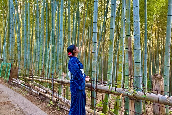 Kyoto Early Bird English Tour: Fushimi Inari & Gion(Private opt) - Sannenzaka and Ninenzaka: old Kyoto streets