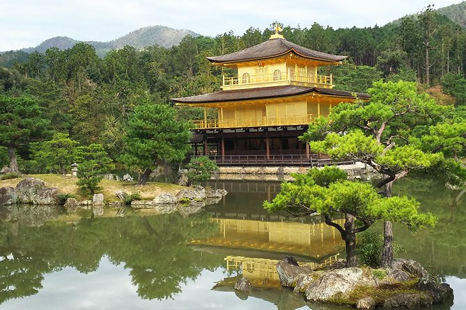Kyoto Early Bird Walking Tour - Fushimi Inari before the torii gates fill