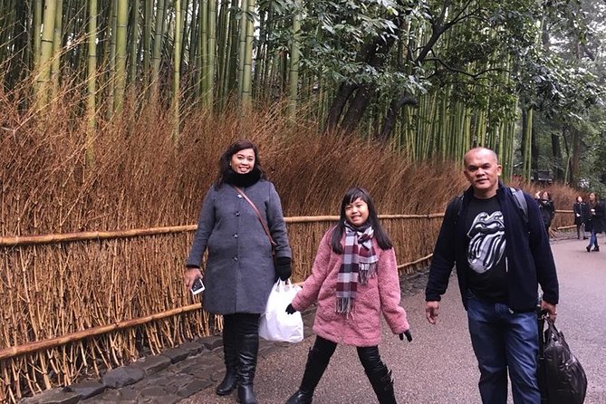 Kyoto Early Bird Walking Tour - What the guides add