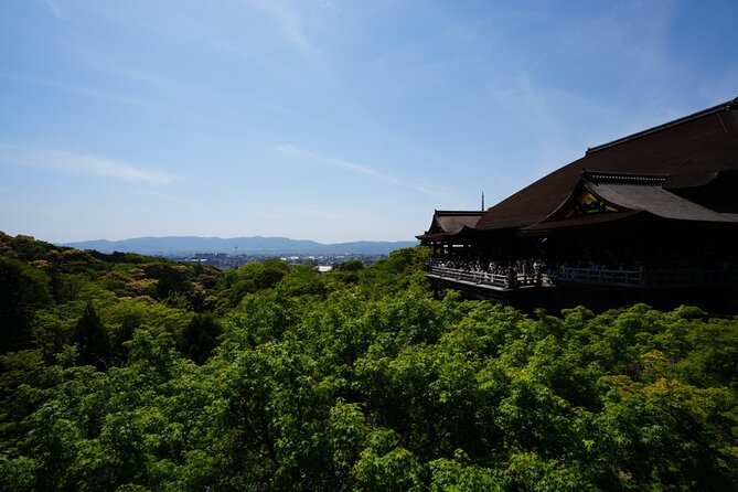 Kyoto Early Morning E Biking Tour Fushimi Inari Kiyomizu Temple - What the guide adds to the morning
