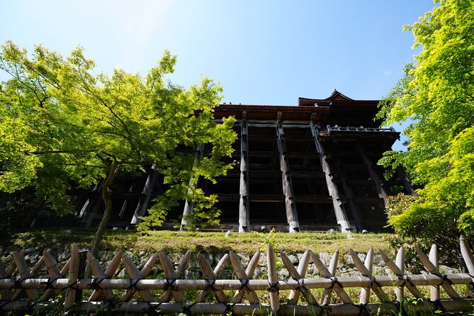 Kyoto Early Morning E Biking Tour Fushimi Inari Kiyomizu Temple - Is $67.41 a fair price?