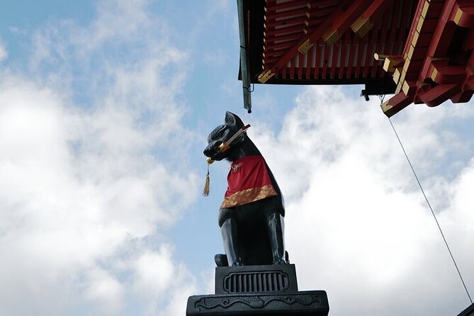 Kyoto Early Morning E Biking Tour Fushimi Inari Kiyomizu Temple - Who should book this Kyoto ride?