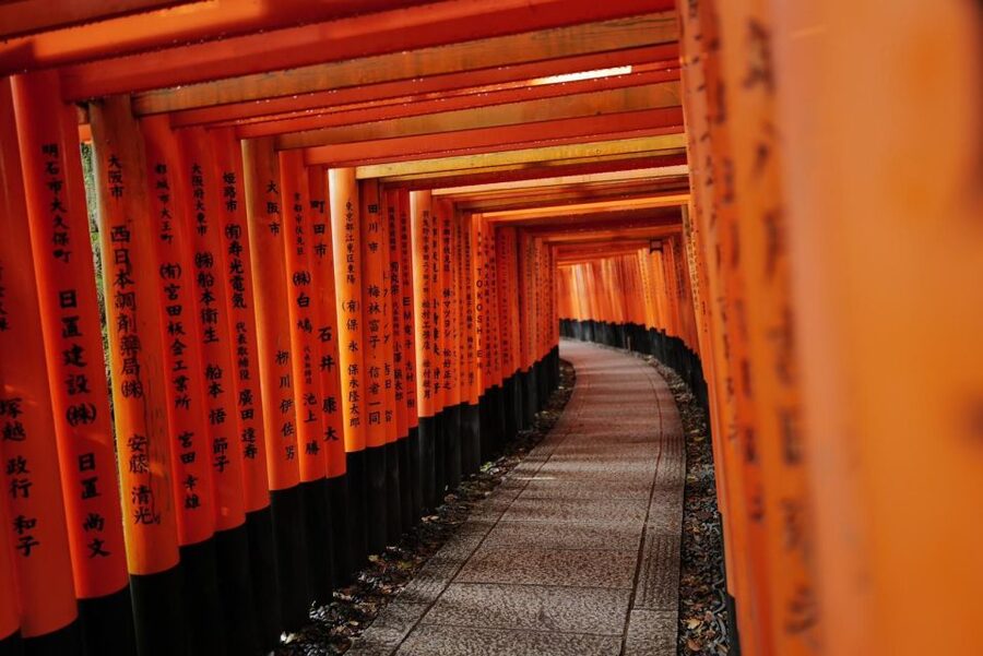 Kyoto: Early Morning Tour with English-Speaking Guide - Is $101 good value?