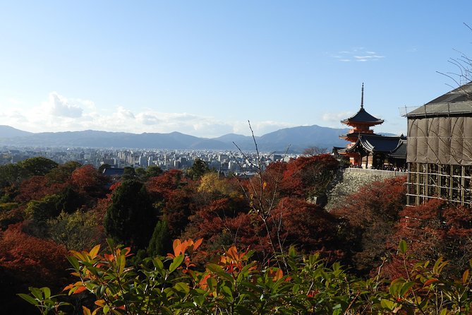 Kyoto Full Day (8 hours) Ultimate Sightseeing Private Tour - Fushimi Inari’s red torii gates