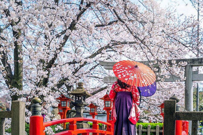Kyoto Full Day (8 hours) Ultimate Sightseeing Private Tour - Two hours in Gion