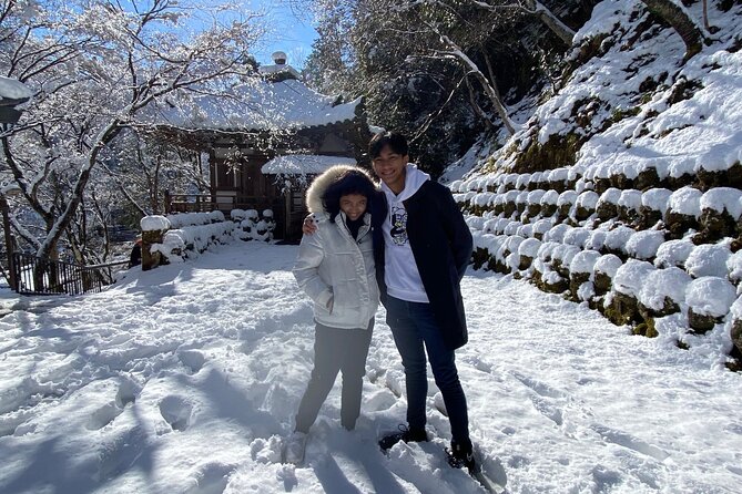 Kyoto Full Day Tour from Kobe with Licensed Guide and Vehicle - Nishiki Market and the city’s historic center