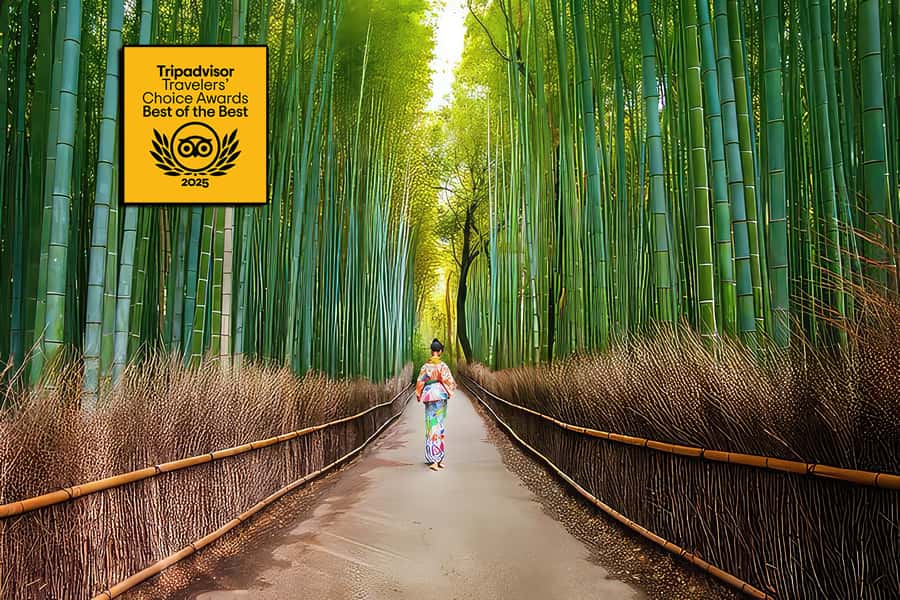 Kyoto: Fushimi, Arashiyama - Bamboo, Monkey, Torii & Secrets - Crossing Togetsukyo, the Moon Crossing Bridge