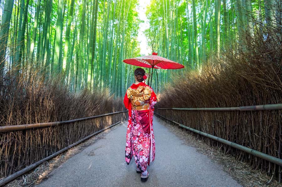Kyoto: Fushimi, Arashiyama - Bamboo, Monkey, Torii & Secrets - Handling Kyoto’s heat, crowds, and rain