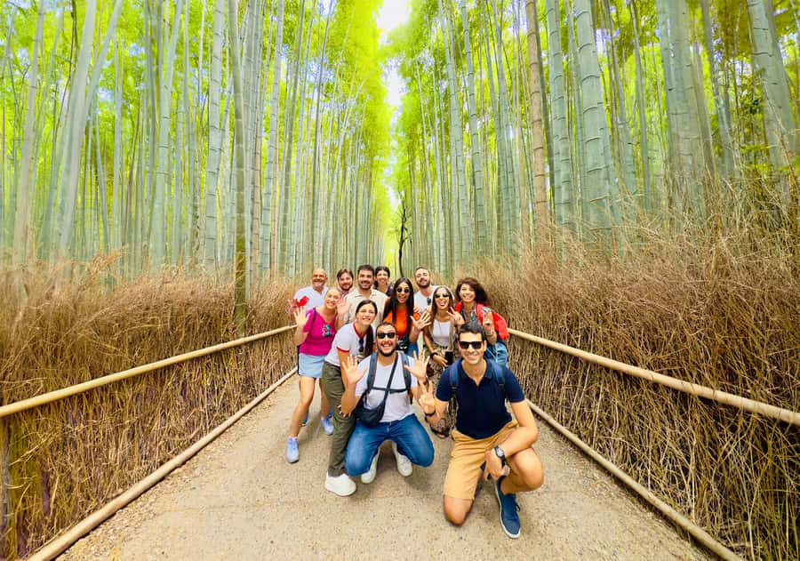 Kyoto: Fushimi, Arashiyama - Bamboo, Monkey, Torii & Secrets - Who should choose this Kyoto day
