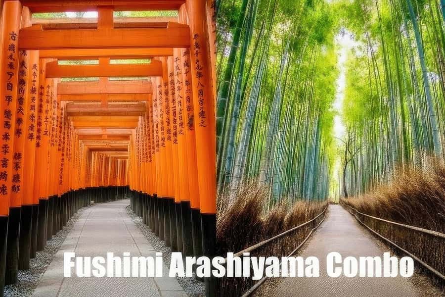 Kyoto: Fushimi, Arashiyama - Bamboo, Monkey, Torii & Secrets - Tenryuji’s Zen garden and quiet water