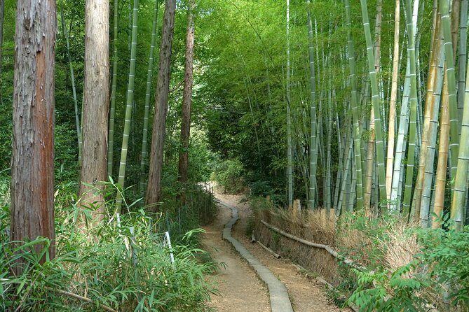 Kyoto: Fushimi Inari Hidden Hike (Private) - Passing through the Senbon Torii gates