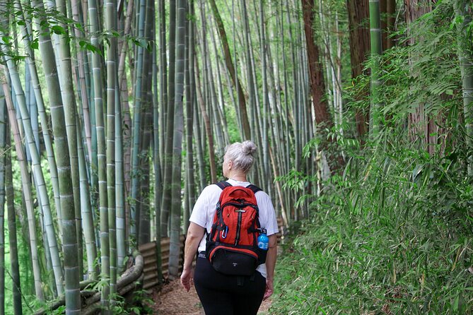 Kyoto: Fushimi Inari Hidden Hike (Private) - Is the private price good value?