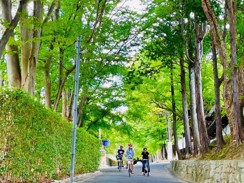 Kyoto: Fushimi Inari Shrine and Tofukuji Temple E-Bike Tour - Starting near Higashiyama-Sanjyo
