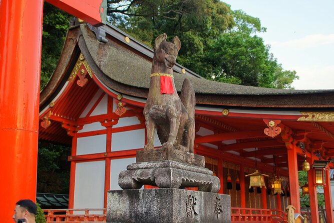 Kyoto: Fushimi Inari Shrine Walking Tour - Who should book this evening walk?