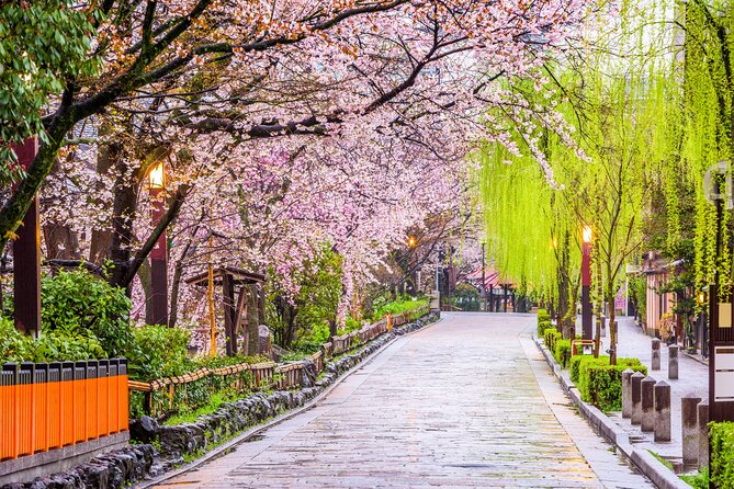 Kyoto Geisha District Walking Tour in Gion - Why Gion works better with a guide