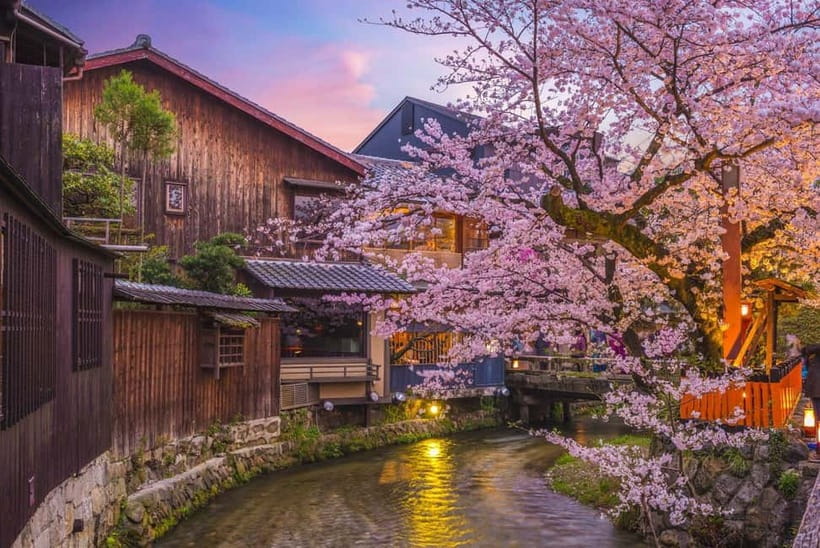 Kyoto Geisha Walking Tour: Gion District & Hidden Gems - Group size, pace, and physical effort