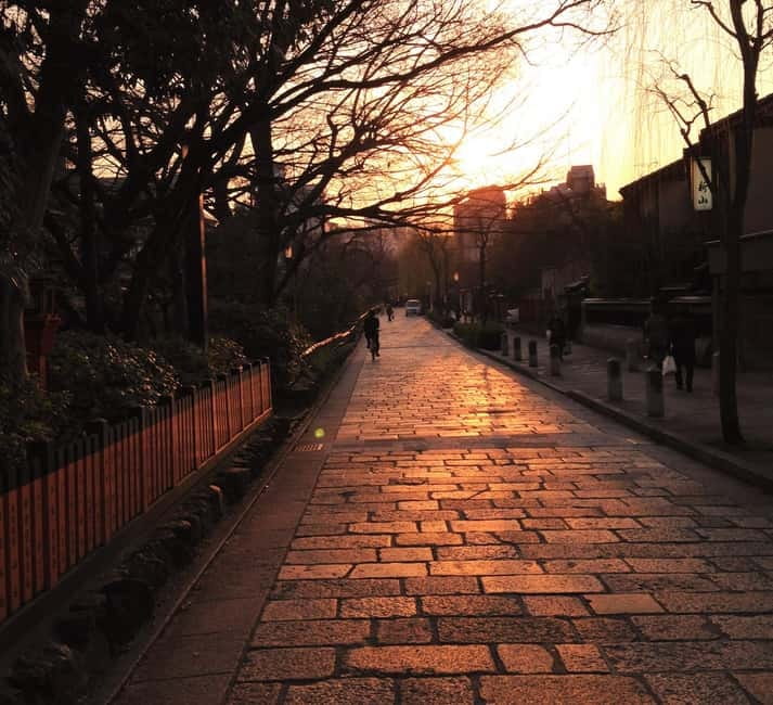 Kyoto Geisha Walking Tour: Gion District & Hidden Gems - Understanding geiko and maiko beyond the costume
