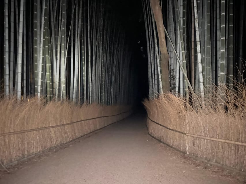 Kyoto: Ghost Tour - Legends, Dark Tales, Bamboo Forest Night - Stories, spirits, and the value of the live guide
