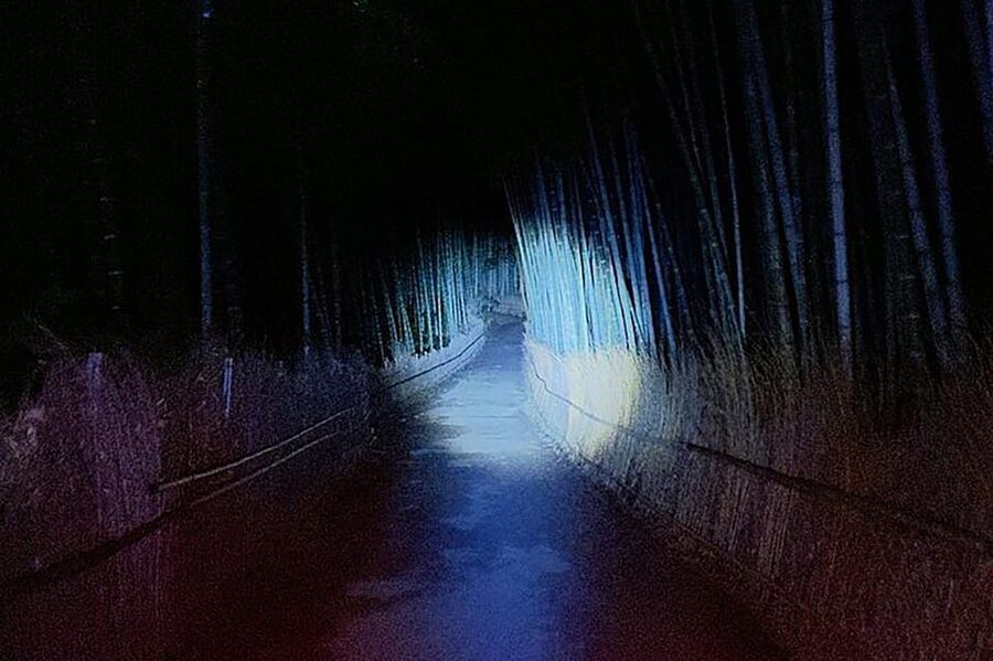 Kyoto: Ghost Tour - Legends, Dark Tales, Bamboo Forest Night - What $50 buys you in Kyoto