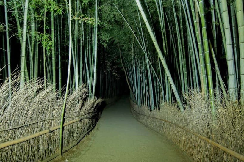 Kyoto: Ghost Tour - Legends, Dark Tales, Bamboo Forest Night - Who should book this night walk