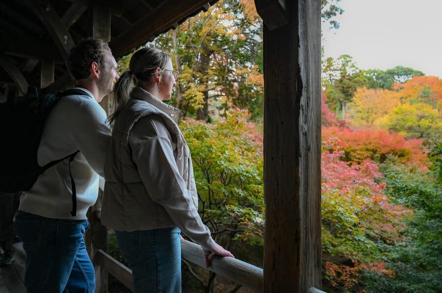Kyoto: Half-day Guided Bike Tour with Fushimi Inari - Why this route works so well in South Kyoto