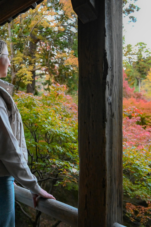 Kyoto: Half-day Guided Bike Tour with Fushimi Inari - Following the Takase Canal and Kamo River