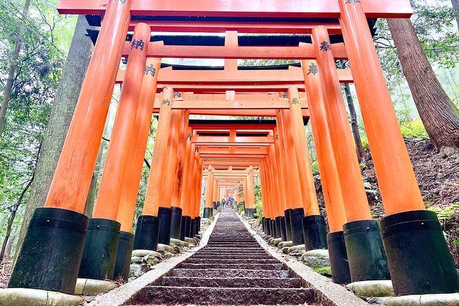 Kyoto Half Day Highlights Tour - Fushimi Inari’s Orange Torii Tunnels