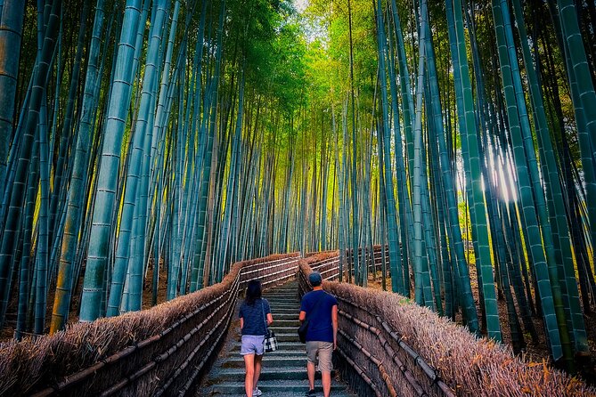 Kyoto Highlights & Hidden Gems in Nature (Private Van Eng-Guide) - Arashiyama beyond the bamboo path