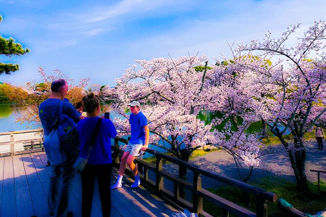 Kyoto Highlights & Hidden Gems in Nature (Private Van Eng-Guide) - Sacred trees in northern Kyoto