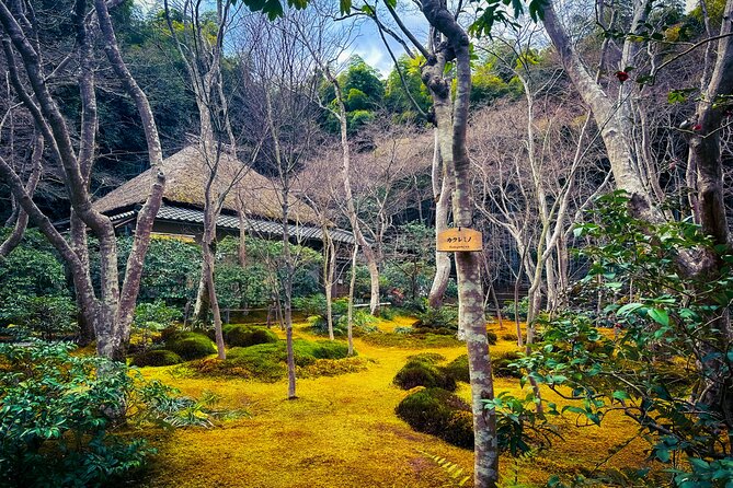 Kyoto Highlights & Hidden Gems in Nature (Private Van Eng-Guide) - A drive through the old geisha district