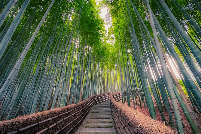 Kyoto Highlights & Hidden Gems in Nature (Private Van Eng-Guide) - What the private format does well