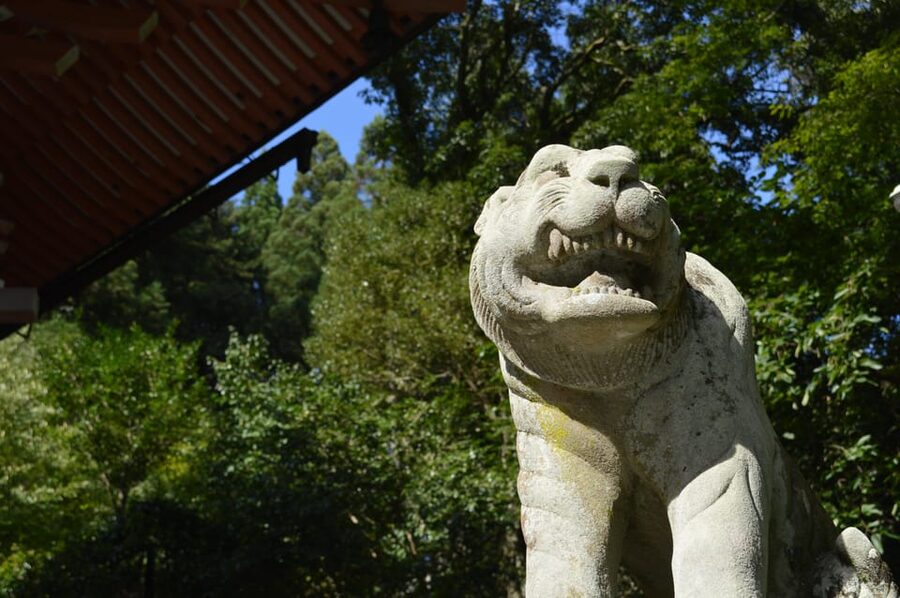Kyoto: Hike and Hot Springs in Kurama - Who should book this Kyoto mountain outing?