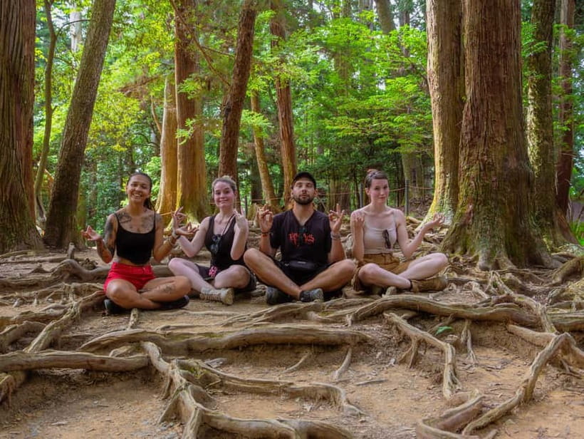 Kyoto: Hike and Hot Springs in Kurama - Climbing Mount Kurama through cedar forest