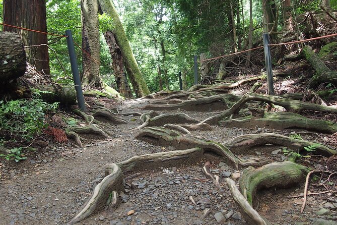Kyoto Hiking Tour: The Nature and Legends of Kurama and Kibune - Reaching Kifune Shrine and the water deity