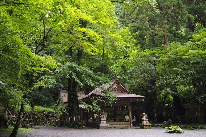 Kyoto Hiking Tour: The Nature and Legends of Kurama and Kibune - The forest climb toward Kurama-dera