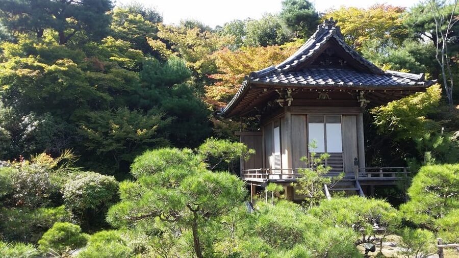 Kyoto: Immersive Arashiyama & Fushimi Inari by Private Car - Walking through Arashiyama’s famous bamboo grove