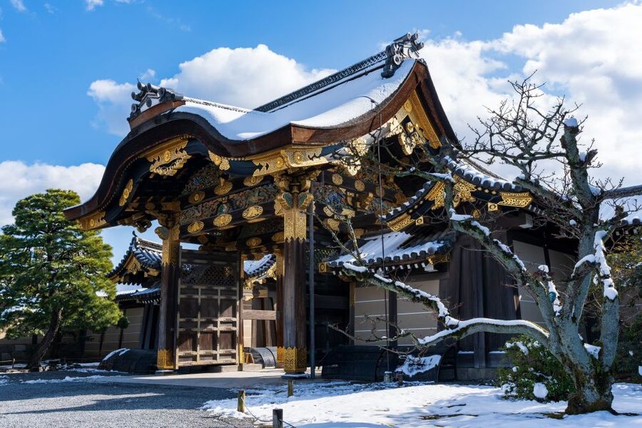 Kyoto: Imperial Palace & Nijo Castle Guided Walking Tour - Should you book the Nijo Castle and Imperial Palace tour?