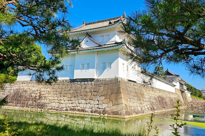 Kyoto Imperial Palace & Nijo Castle Guided Walking Tour - 3 Hours - Who should book this walking tour?