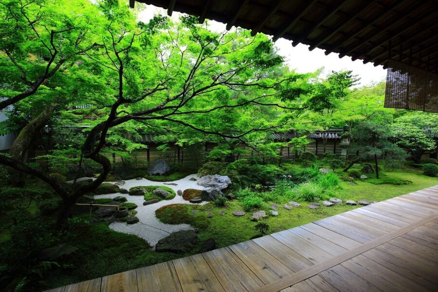 Kyoto: Japanese Gardens Private Customizable Tour - Transport, walking, and the real cost of the day