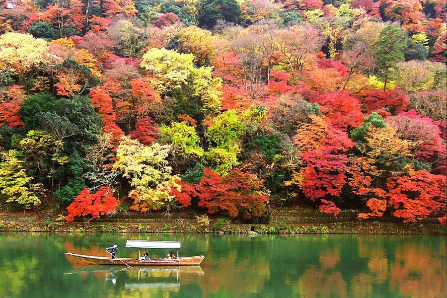 Kyoto: Japanese Gardens Private Customizable Tour - Arashiyama Bamboo Forest and the garden beyond the path