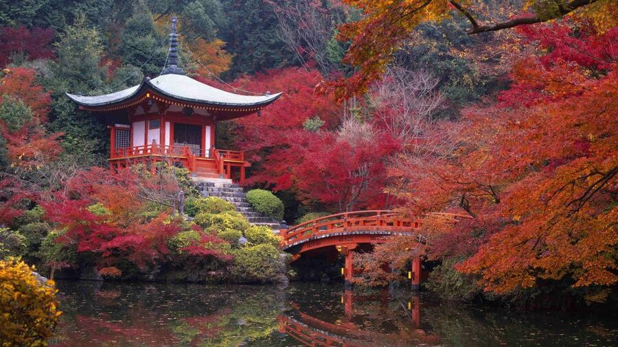 Kyoto: Japanese Gardens Private Customizable Tour - Nanzenji, Tofukuji, and the pleasure of comparison