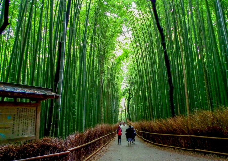 Kyoto: Japanese Gardens Private Customizable Tour - Ryoanji and the discipline of a dry Zen garden