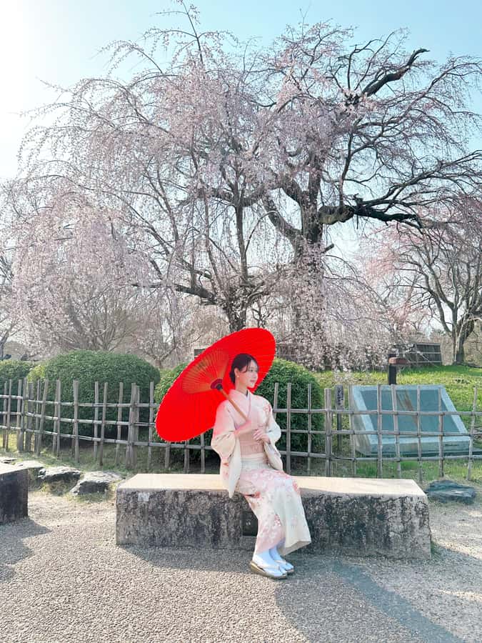 Kyoto: Kimono Rental Traditional Experience at Wargo in Gion - Making the $33 Price Work for You