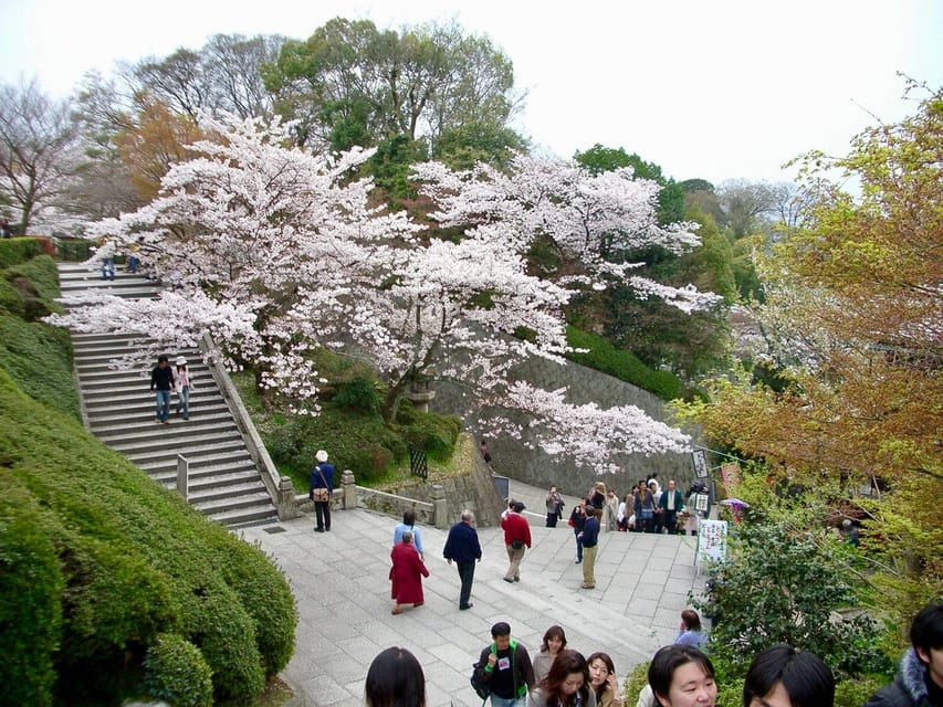 Kyoto: Kiyomizudera, Higashiyama and Yasaka Discovery Tour - Kiyomizudera: one strong opening hour