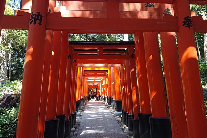Kyoto Lazy Bird Walking Tour - Why this afternoon route works in Kyoto